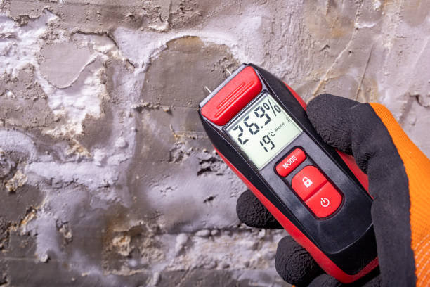 Best Mold Removal Near Me  in Stonewood, WV