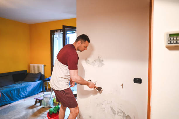 Mold Testing and Removal in Stonewood, WV
